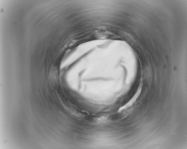 X0000069820092200606161926