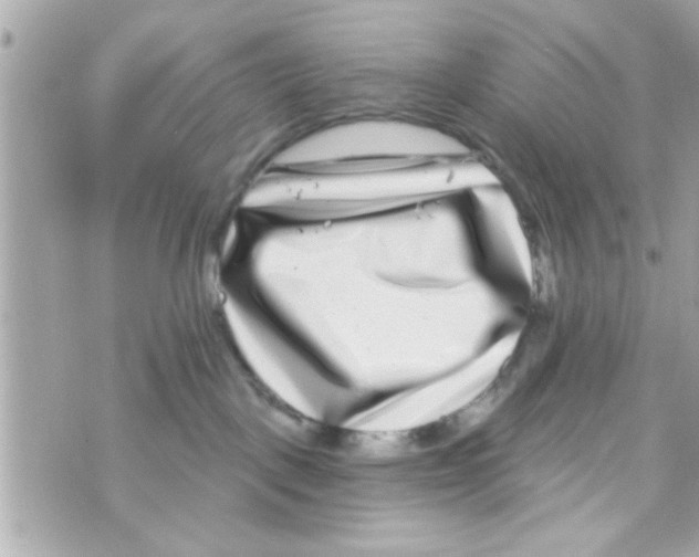X0000069820093200606161926