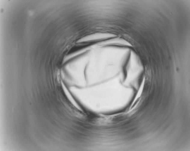 X0000069820094200606161926