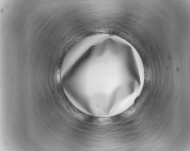 X0000069820095200606161926