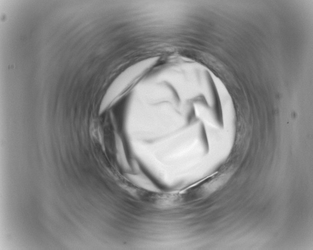 X0000069820096200606161926