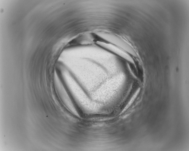 X0000069820097200606161925