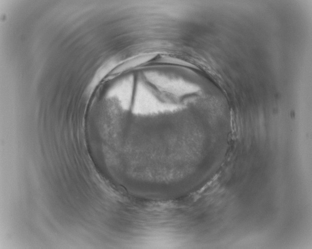 X0000069820099200606161925