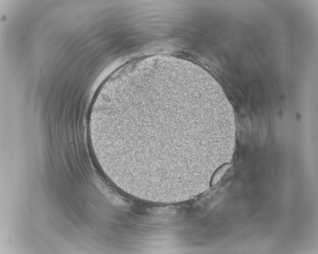 X0000069820100200606161925