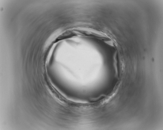 X0000069820101200606161925