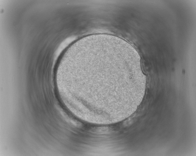 X0000069820104200606161925