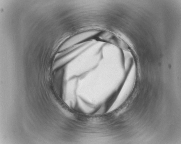 X0000069820105200606161925