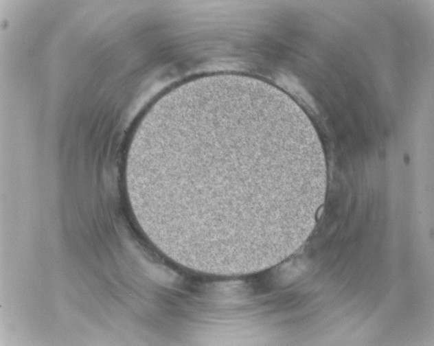 X0000069820108200606161925