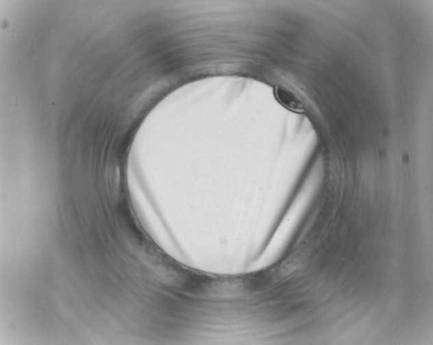 X0000069820110200606161925