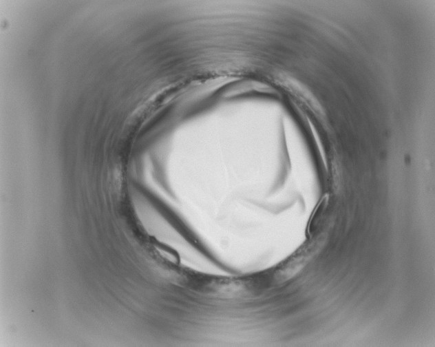 X0000069820113200606161925