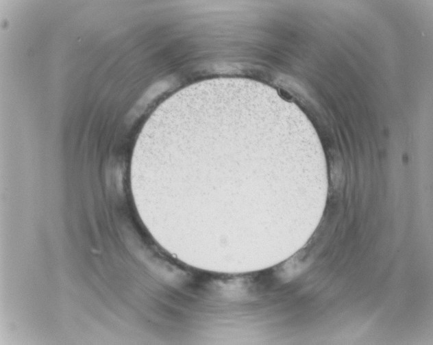 X0000069820120200606161925