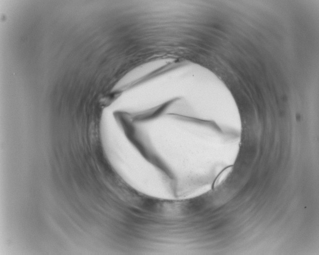 X0000069820134200606161924