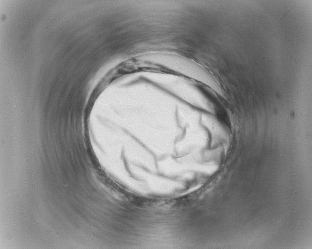 X0000069820148200606161923