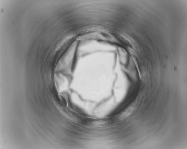 X0000069820158200606161923