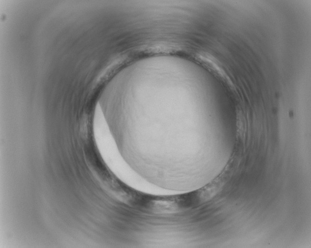 X0000069820167200606161924