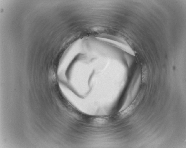 X0000069820176200606161924