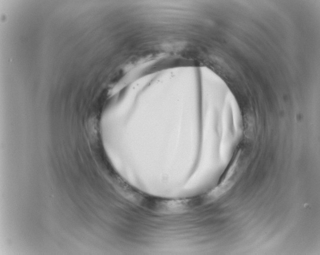 X0000069820184200606161924