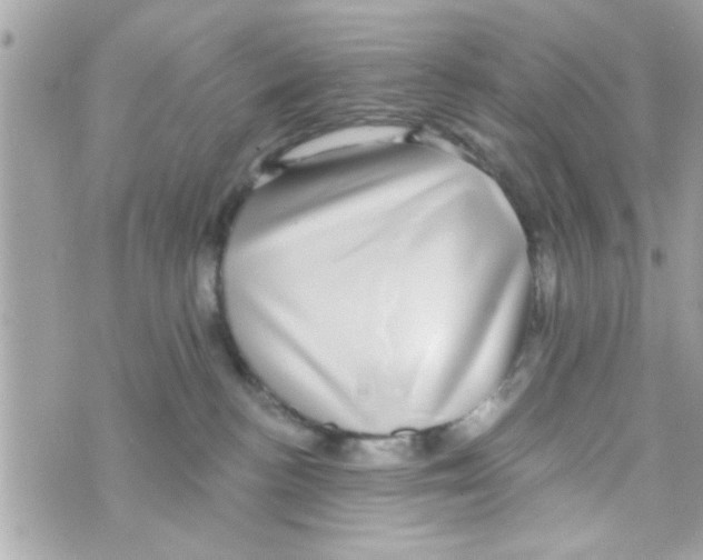 X0000069820188200606161924