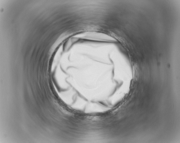X0000069820195200606161923