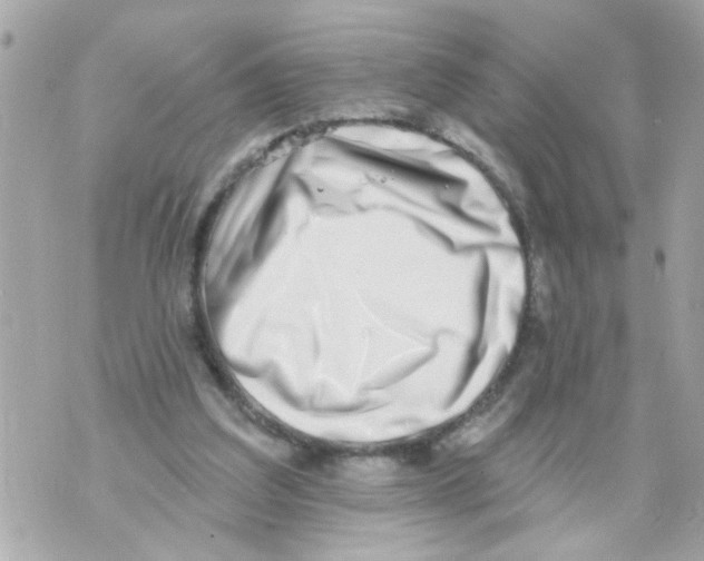 X0000069820203200606161923