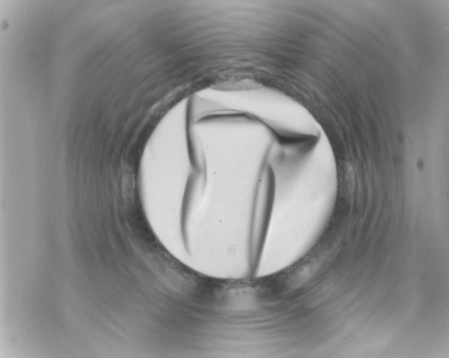 X0000069820228200606161923