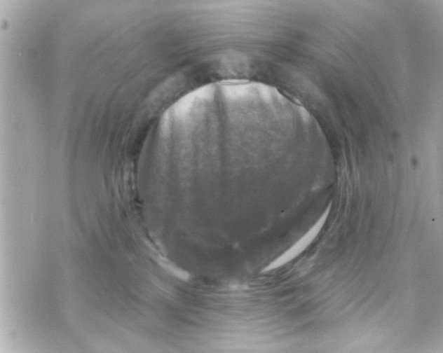 X0000069820233200606161923