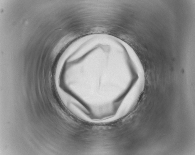 X0000069820242200606161922