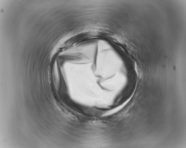 X0000069820244200606161922