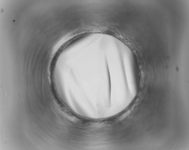X0000069820246200606161922