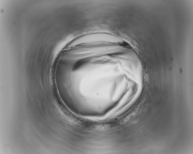 X0000069820248200606161922