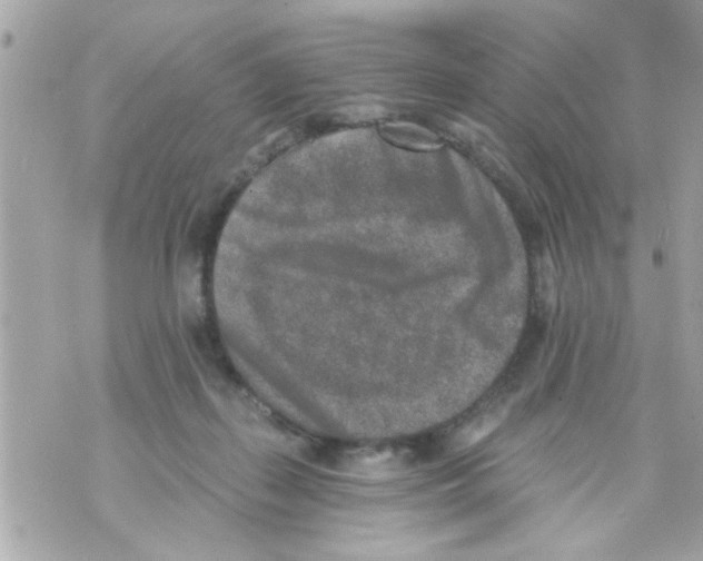 X0000069820267200606161922