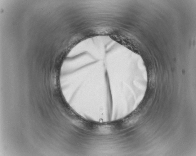 X0000069820268200606161922
