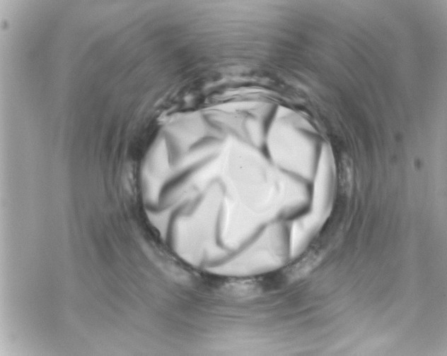 X0000069820280200606161922