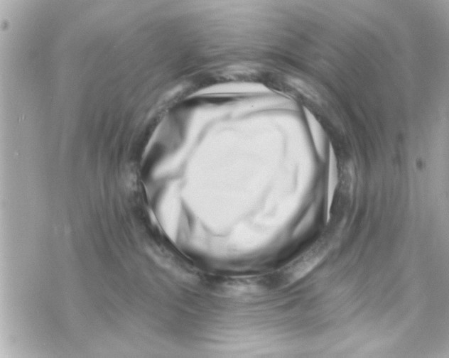 X0000069820284200606161922