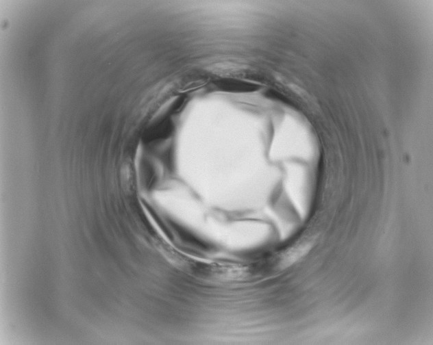 X0000069820288200606161922