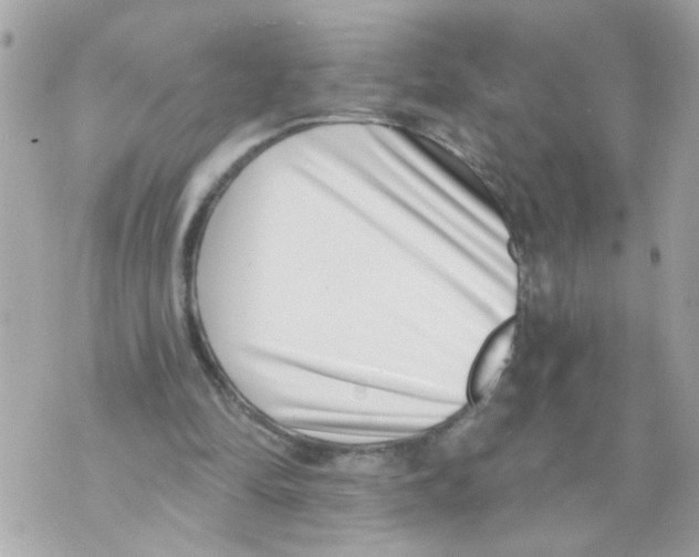 X0000069820294200606161922