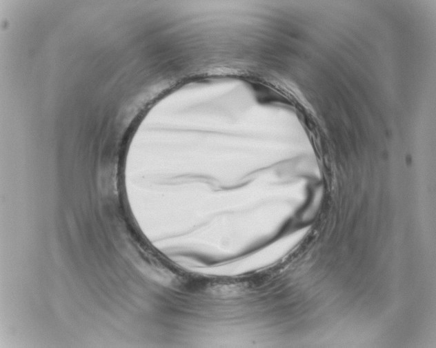 X0000069820299200606161922