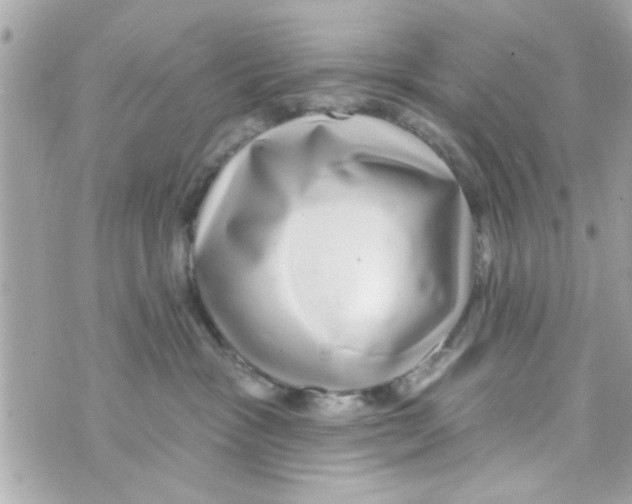 X0000069820333200606161921