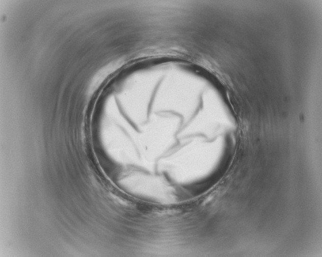 X0000069820340200606161920