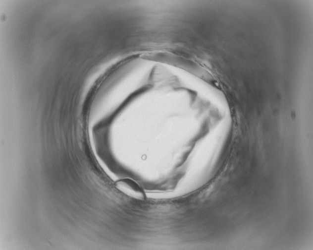X0000069820342200606161920