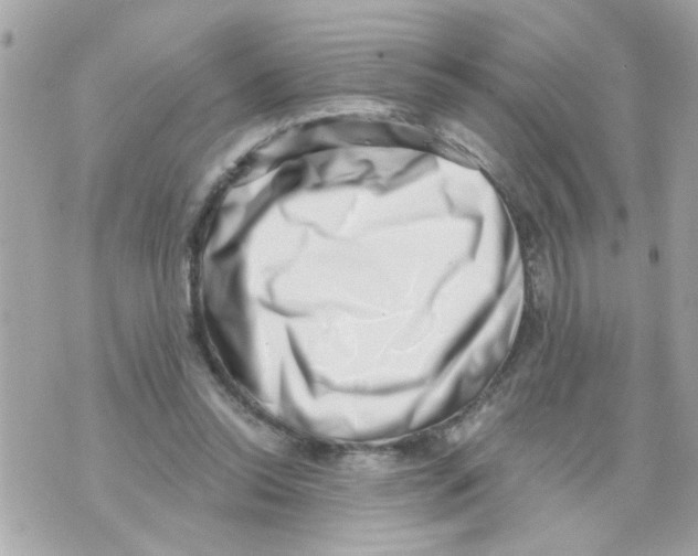 X0000069820350200606161920