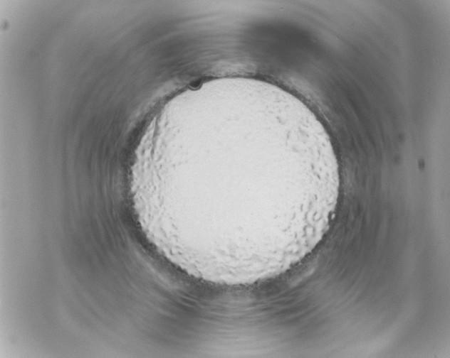 X0000069820353200606161920