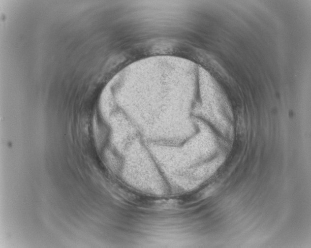 X0000069820363200606161921