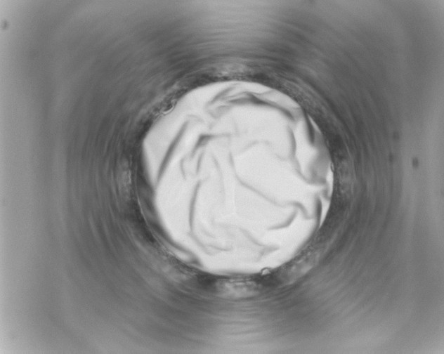 X0000069820372200606161921