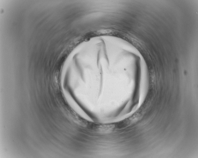 X0000069820373200606161921
