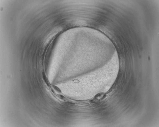 X0000069820390200606161920