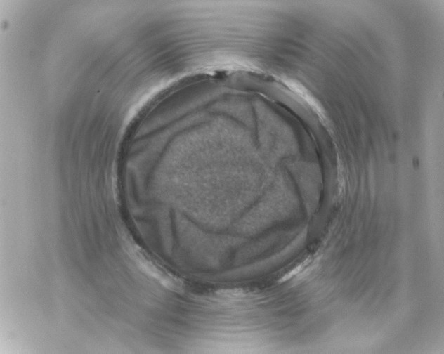 X0000069820391200606161920