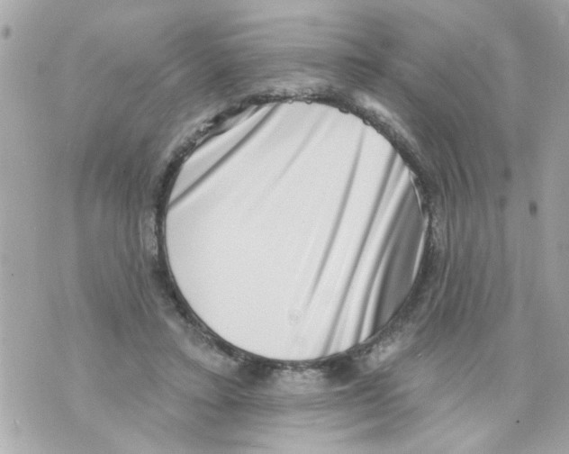 X0000069820403200606161920