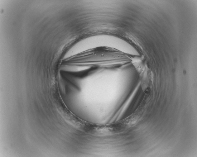 X0000069820407200606161920