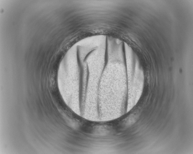 X0000069820408200606161920
